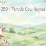 250+ Female Cow Names