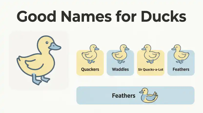 Food-Inspired Duck Names