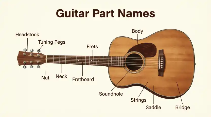 Guitar Part Names