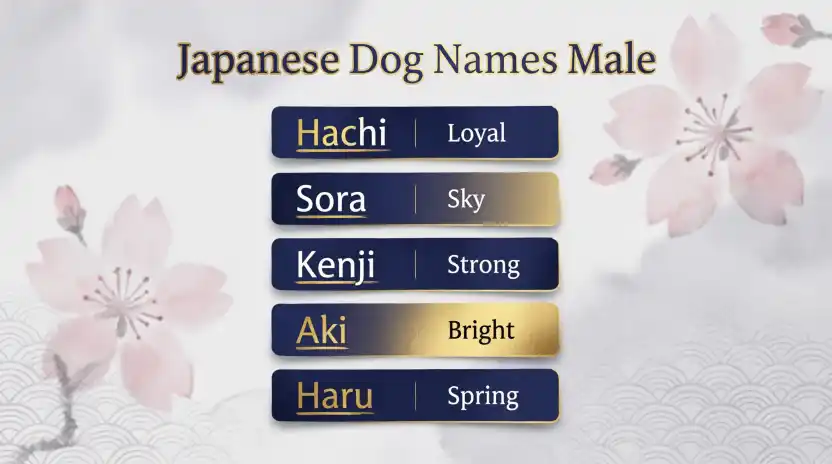 Japanese Dog Names Male